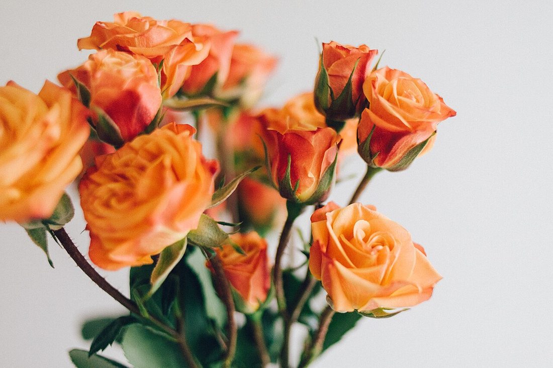 Arrangement