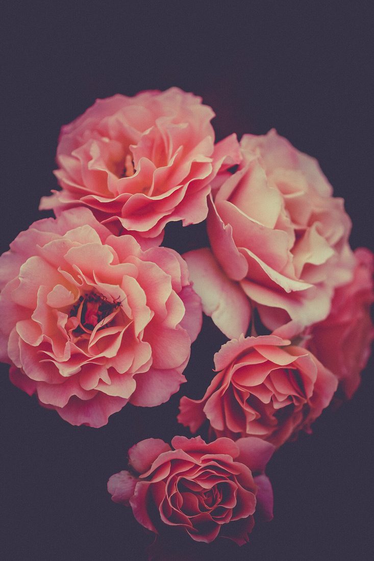 Hand Bouquet
